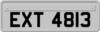 EXT4813