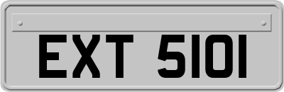 EXT5101
