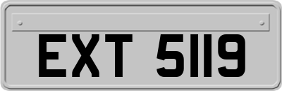 EXT5119