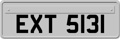 EXT5131