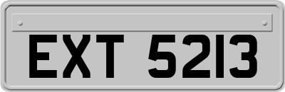 EXT5213