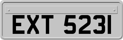 EXT5231