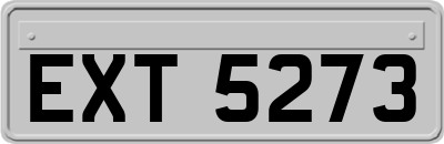 EXT5273