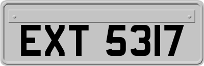 EXT5317