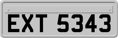EXT5343