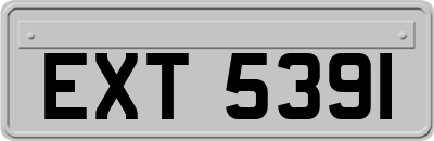 EXT5391