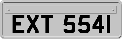 EXT5541