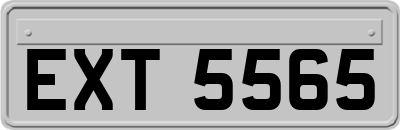 EXT5565