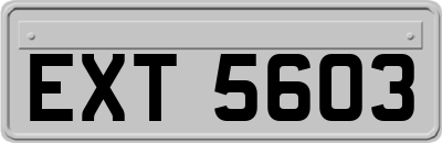 EXT5603
