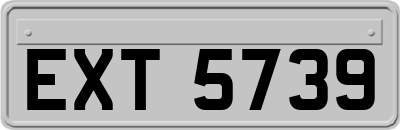 EXT5739