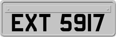 EXT5917