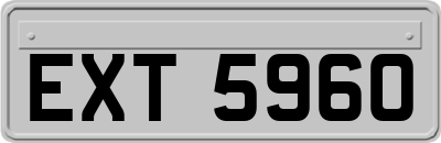 EXT5960