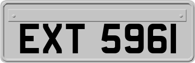 EXT5961