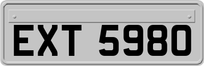 EXT5980