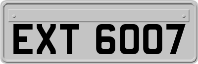 EXT6007
