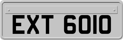 EXT6010