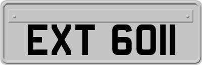 EXT6011