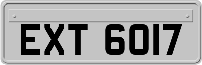 EXT6017