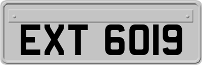 EXT6019