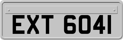 EXT6041