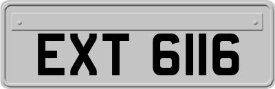 EXT6116