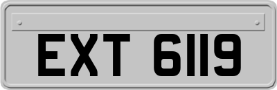 EXT6119