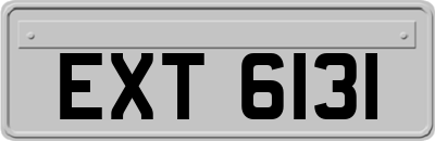 EXT6131