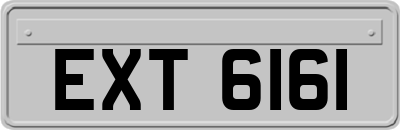 EXT6161