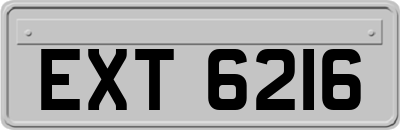 EXT6216