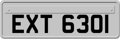 EXT6301
