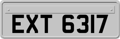 EXT6317