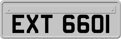 EXT6601
