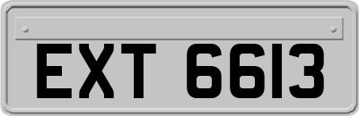 EXT6613