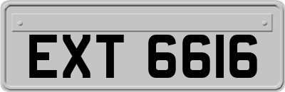 EXT6616