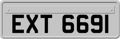 EXT6691