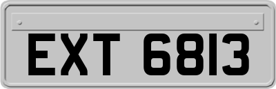 EXT6813