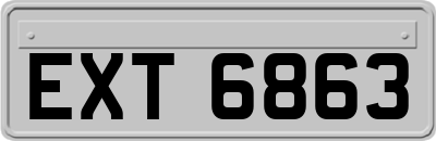EXT6863