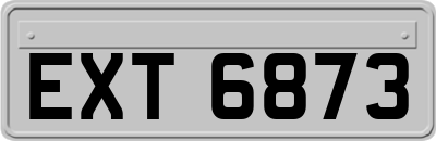 EXT6873