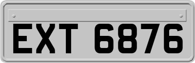 EXT6876