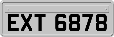 EXT6878