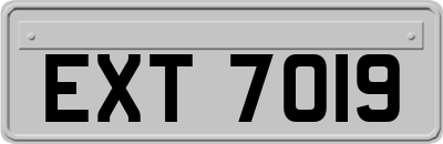 EXT7019