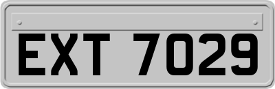 EXT7029