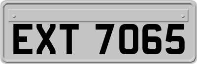 EXT7065