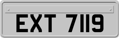EXT7119