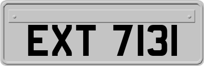 EXT7131