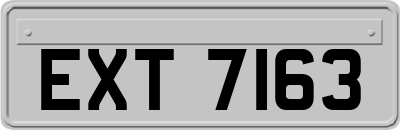 EXT7163