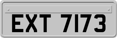 EXT7173