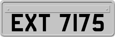 EXT7175