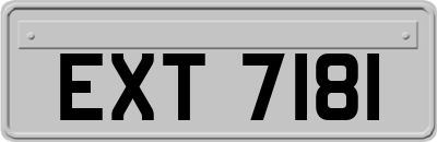 EXT7181