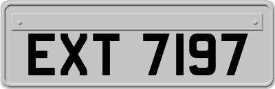 EXT7197
